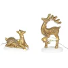 Department 56 Lit Deer Yard Decor Clearance